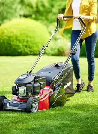 Seasonal Landscaping & Snow Removal